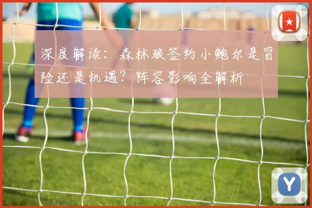 深度解读:森林狼签约小鲍尔是冒险还是机遇?阵容影响全解析
