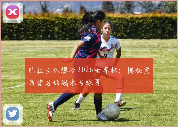 巴拉圭队爆冷2026世界杯：揭秘黑马背后的战术与球员