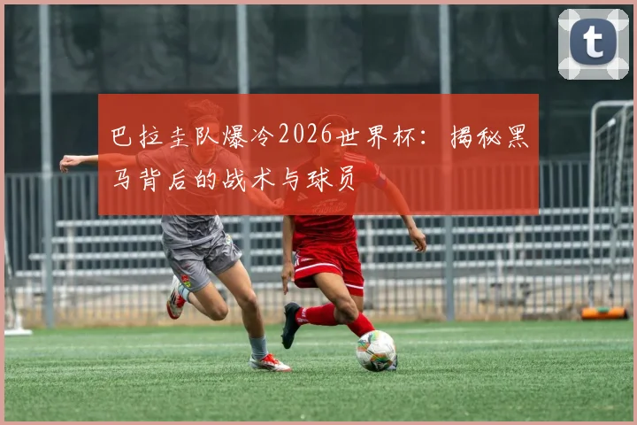 巴拉圭队爆冷2026世界杯:揭秘黑马背后的战术与球员